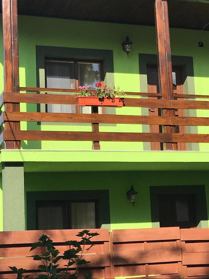 Дома для отпуска Green House Inn Кэлимэнешти